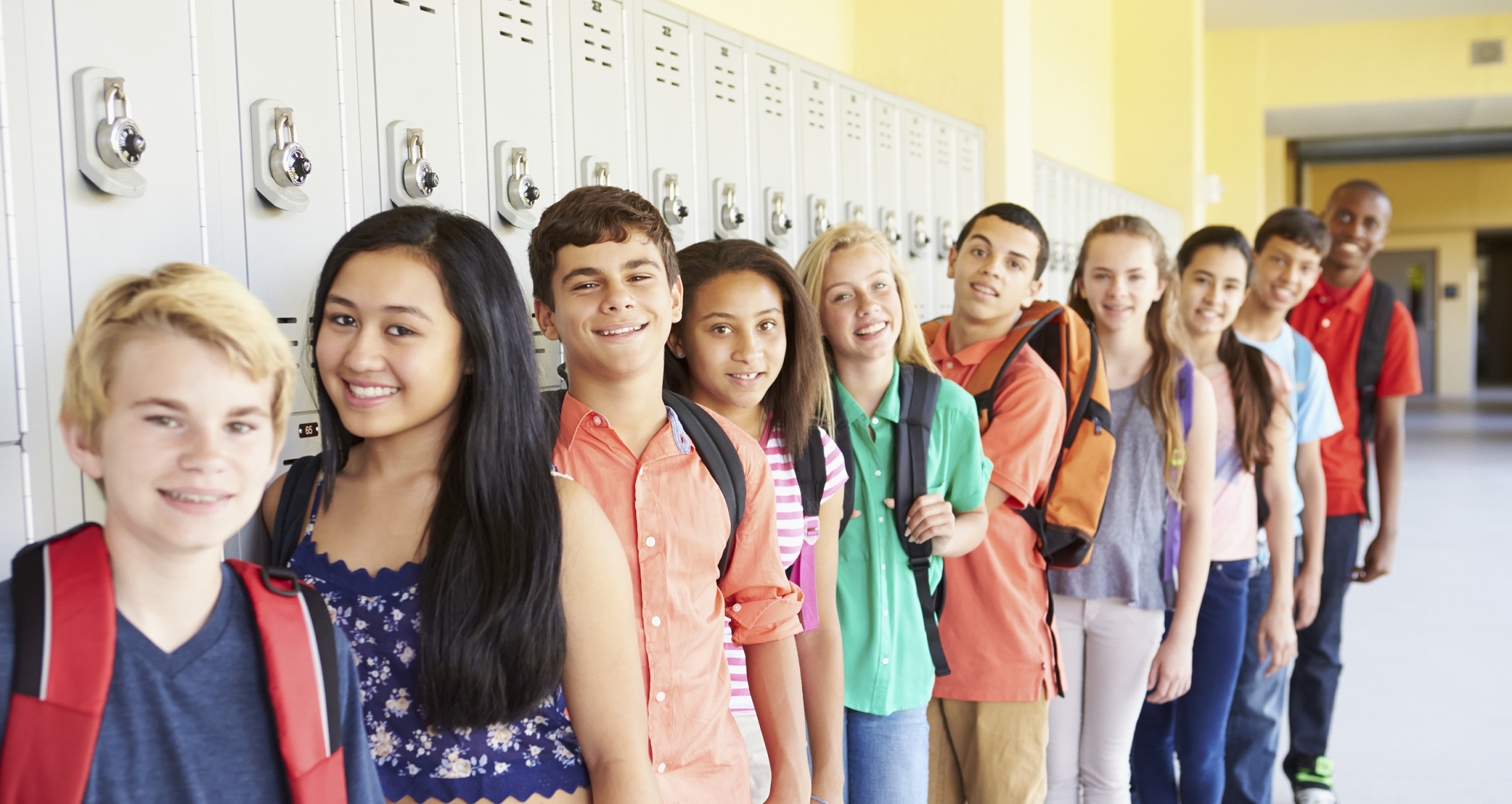 Large schools less bullies