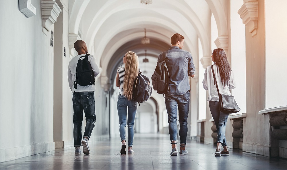 Higher Education
