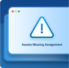 Assets-Missing-Assignment